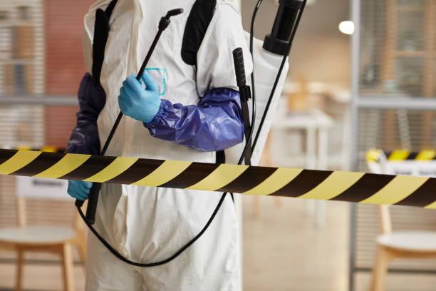 Professional Hoarding Cleanup technician working in Phillips, WI